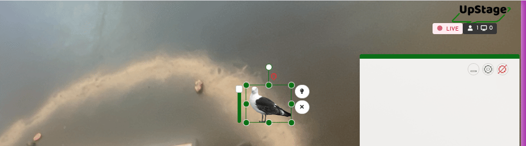 Screen capture showing how to masquerade as audience